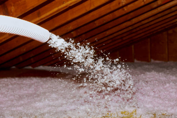 Best Insulation Replacement Services  in Yadkinville, NC