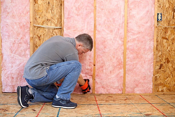 Best Insulation Removal  in Yadkinville, NC